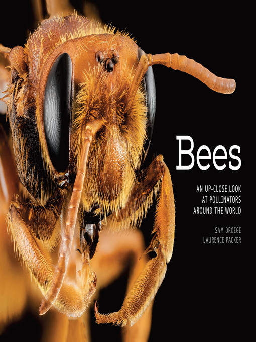 Title details for Bees by Sam Droege - Available